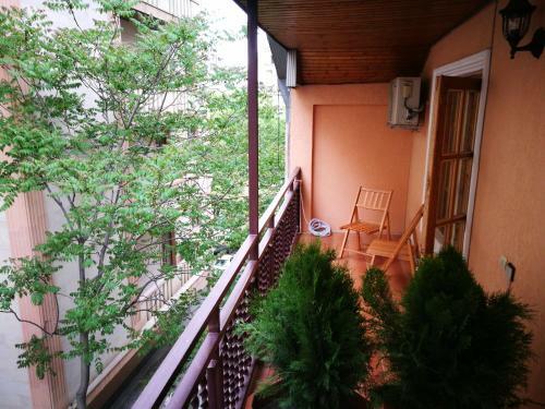 Hotel Salo