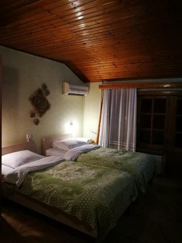 Hotel Salo