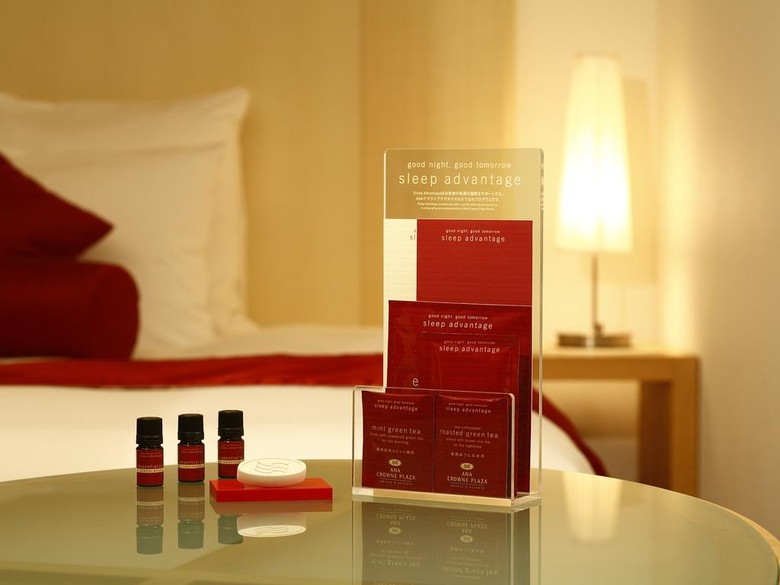 Ana Crowne Plaza Hotel Kyoto
