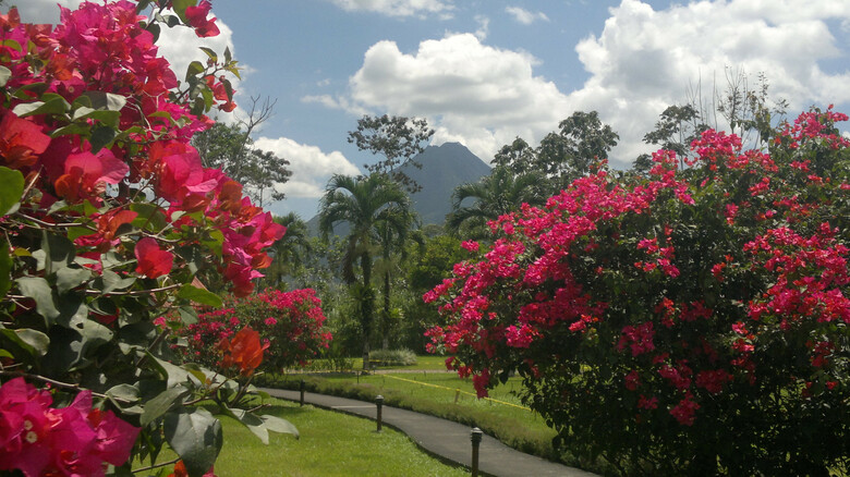 Hotel Ecoarenal