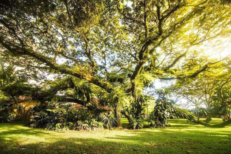 Ecovital Costa Rica