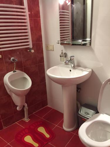 Hostal Formula-1