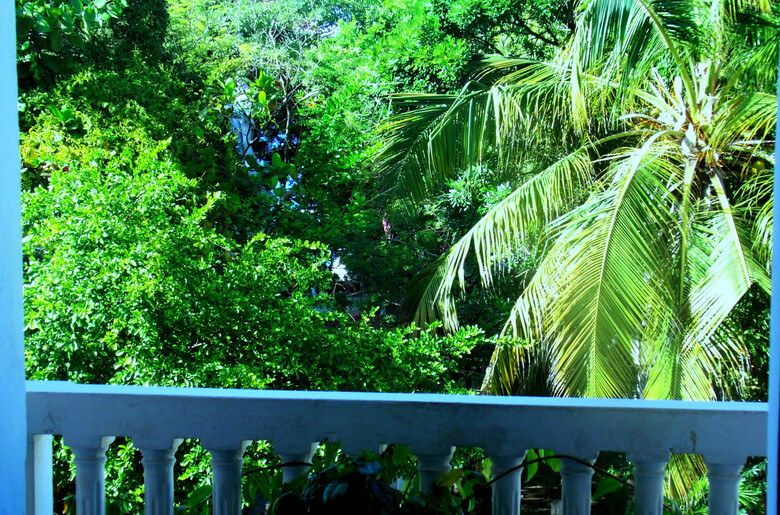 Hotel Boutique At The Park