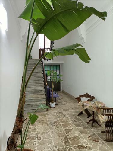 Luxury B&B Iolanda
