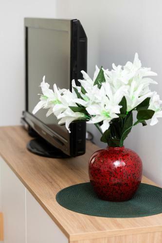 Apartament Warszawa Piotra Skargi