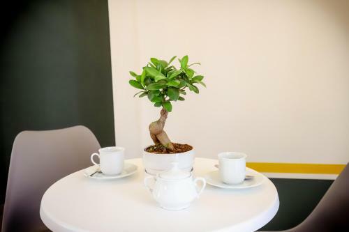 Bed & Breakfast Sant'anna 44