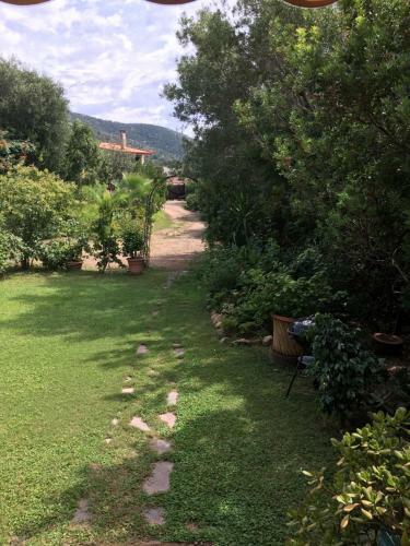 La Buganvillea