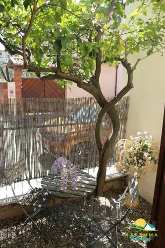 Maremma Holidays -retr� Apartment