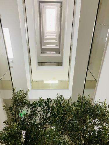 Apartament Maria Solid House Residence Mamaia