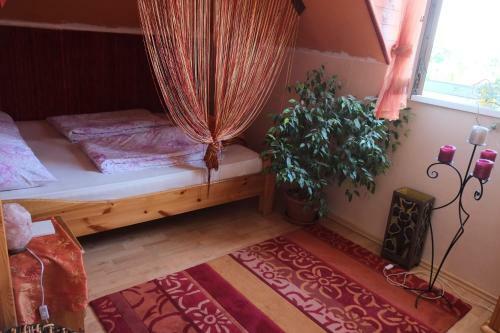 Arany Sziget Apartman