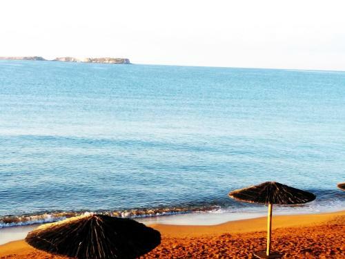 Alekos Beach Houses-caretta