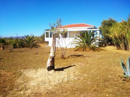 Alekos Beach Houses-caretta