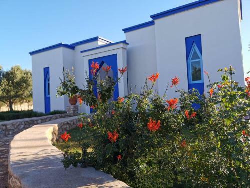 Hostal ??? ????? ????? / Dar Yanis