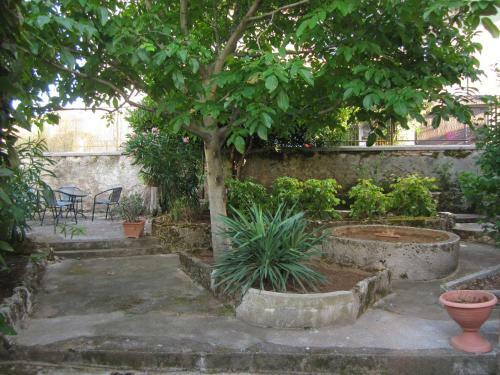 Hostal Guest House Ilona