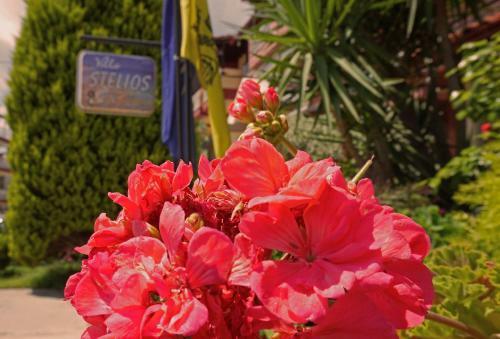 Apartamento Villa Stelios