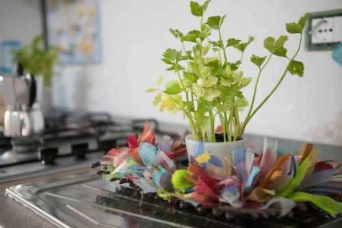Iori Salento B&B