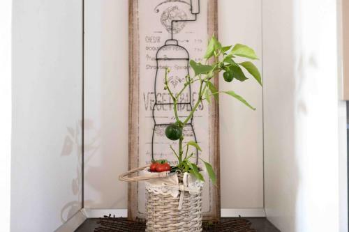 Iori Salento B&B