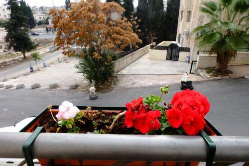 Apartamento Arabian Suites