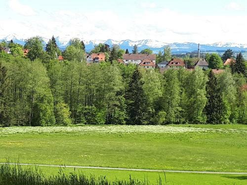 Apartamento Ferienwohnung Kitzelmann