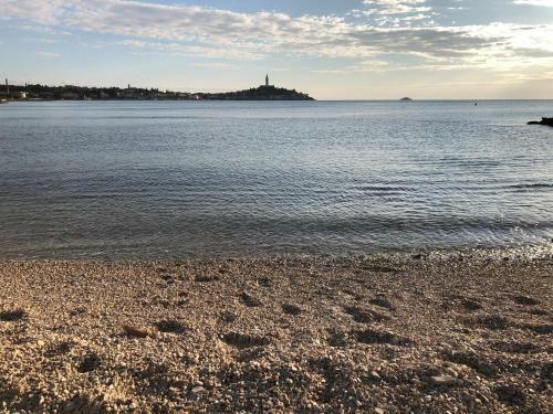 Total Escape Mobile Home Nera Camp Porton Biondi