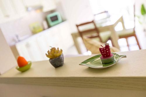 Apartments In Rovinj - Istrien 40158