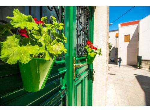 Apartamentos Town House Viva