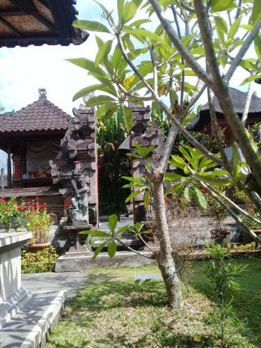 Darta House