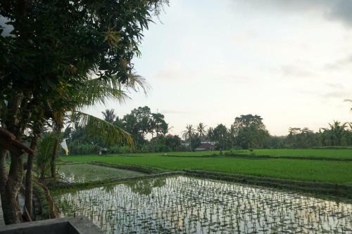 Hostal Villa Geno Ubud
