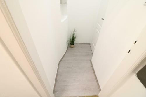 Real Apartments Wessel�nyi IV
