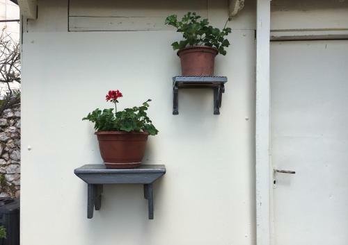 Apartment Grazioso