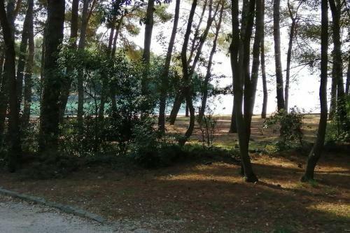 Apartamento Studio Centener Rustico Gold