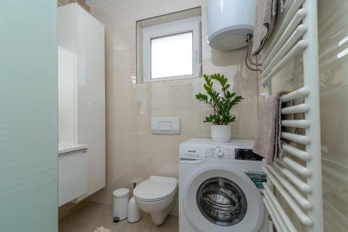 Apartman Tragos