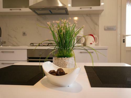 Family Apartments Zadar