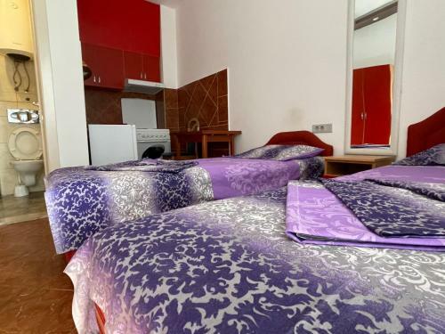 Apartments Zevs