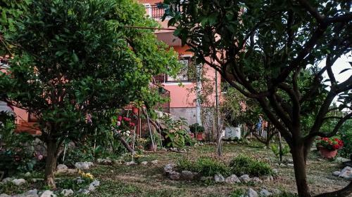 Apartments Forest