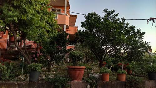 Apartments Forest