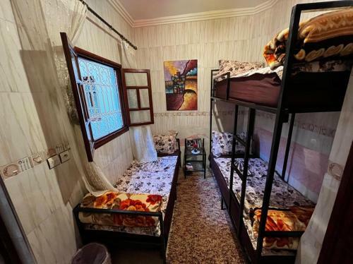 Hostel Dream Belko