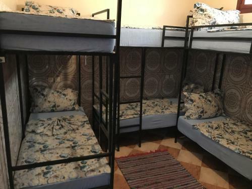 Hostel Dream Belko