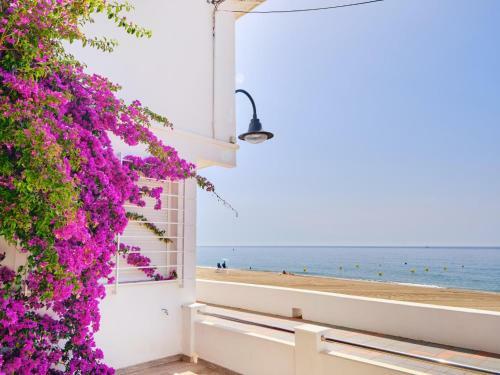 10 Paradise Villa On Sea Front, Terrace!