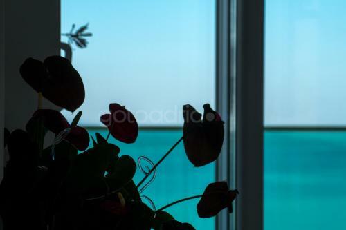 Apartamento Penthouse Big Blue With Private Hot Tub