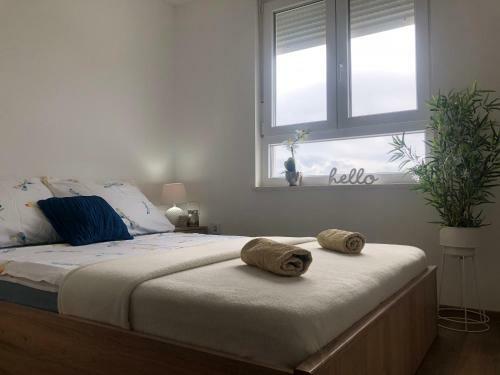 Apartamento Gizmo