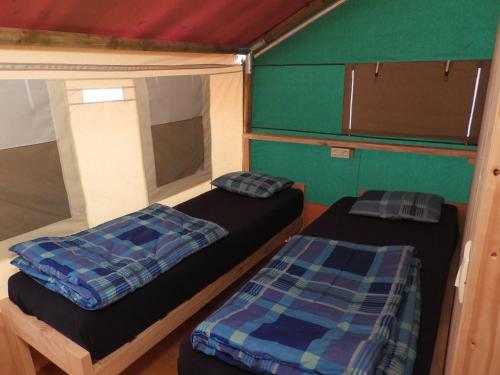 Dt Lodge Tent Safari Joy, Lanterna