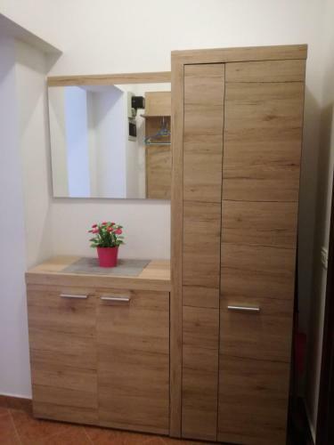 Apartments Vesna