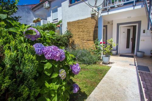 Apartment Rosse