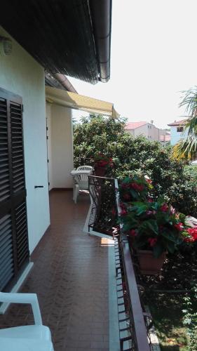 Apartamento Odak App