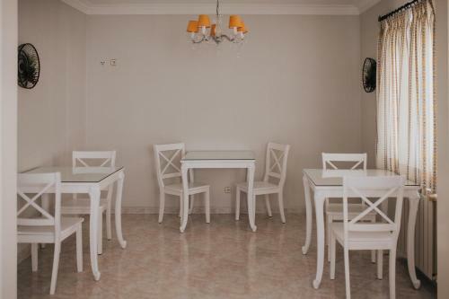 Albergue Flamingos Rio