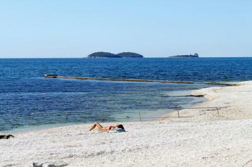 Hostal Rooms With A Parking Space Rovinj - 12456