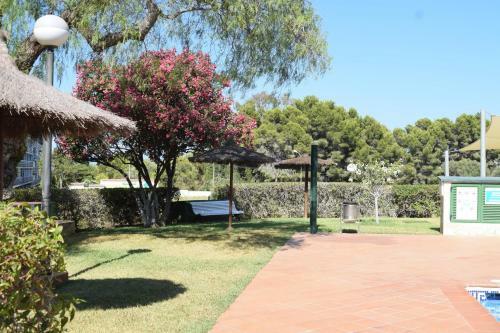 Apartamento Las Vi�as Playa Rotas Ap2140