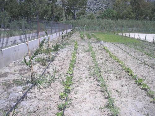 Agroturismo Socrates Organic Village