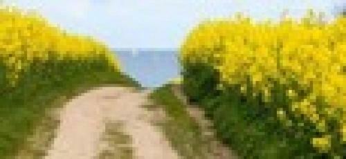 Apartamento Traumlage Am Ostseestrand - Silberm�we 2